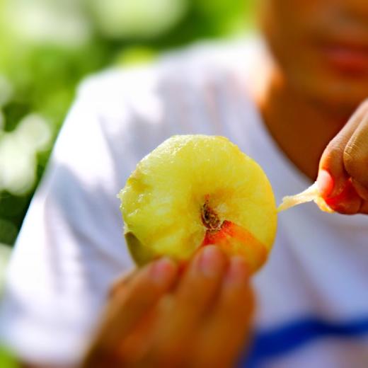 新疆石河子蟠桃 3.5斤装 （挑软的先吃）  顺丰空运 商品图1