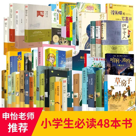 【申怡推荐 读书会套装】小学读书卡中48套 商品图0