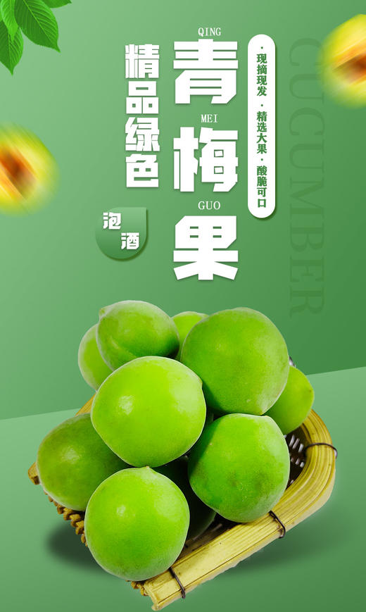 云南青梅 商品图0