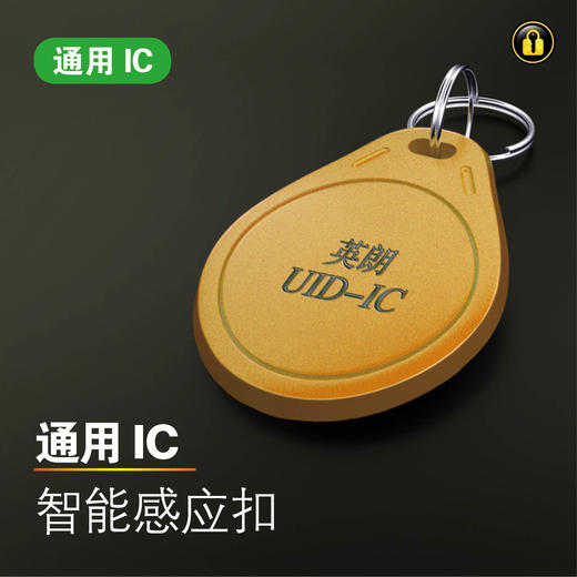 〖黄8007〗英朗1代IC 商品图0