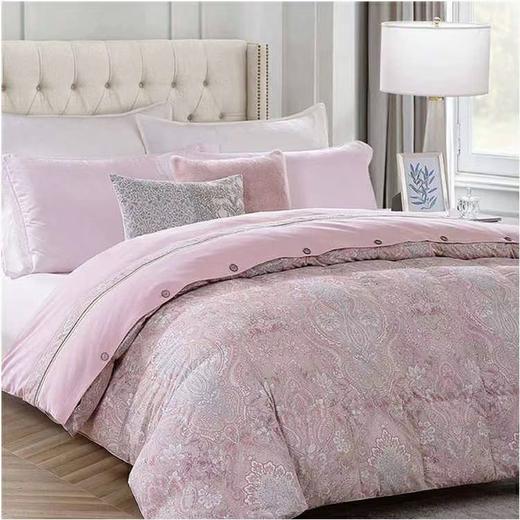 【6F】宜庭｜安妮娅可水洗鹅绒春秋被 商品图0