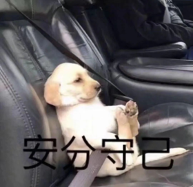 虚谷的普通商品1