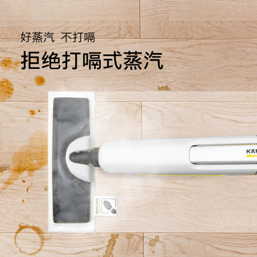 VIP尊享礼品卡 KARCHER德国卡赫蒸汽拖把 商品图4