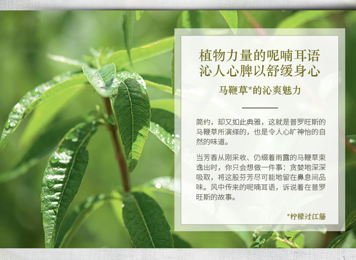 20170313-欧舒丹-马鞭草清新沐浴啫喱spp-pc_02.jpg