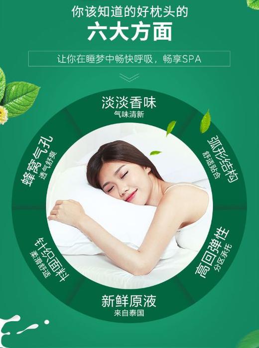 【6F】 富安娜清享泰国经典呵护乳胶枕 商品图7