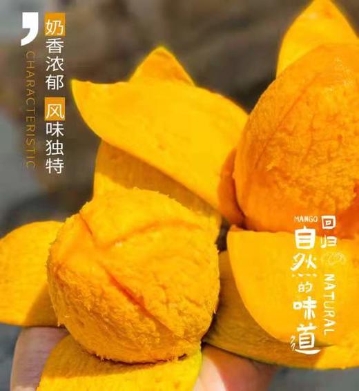 椰奶蜜香芒果 商品图0