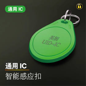 〖绿8007〗英朗1代IC