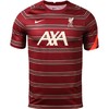NIKE/耐克21-22赛季利物浦热身短袖训练服DB0254-678 商品缩略图4