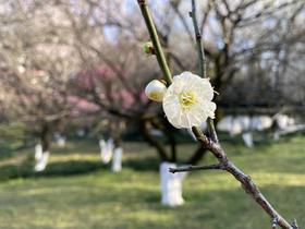 测试专栏信息采集