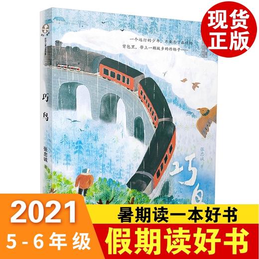正版包邮】2021年暑假读一本好书5-6年级巧鸟 6-12周岁小学五六年级课外阅读书籍假期读好书图书张忠诚著二十一世纪出版社儿童文学 商品图0