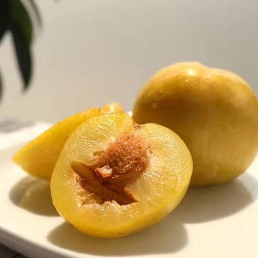 老树黄金蜜李3斤精品大果12个内