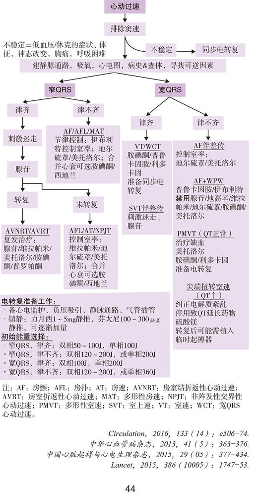 协和内科住院医师手册 第三版 住院医师工作守则 工作规范 医学书籍 施文 沈恺妮 主编 9787567916661中国协和医科大学出版社 商品图4