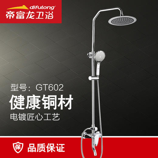 帝富龙大花洒tg602