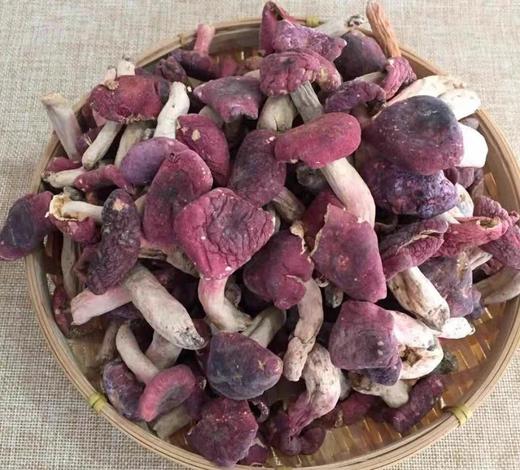 丨生态丨野生干菌菇 牛肝菌 羊肚菌 红菇 松茸 四种可选 商品图12