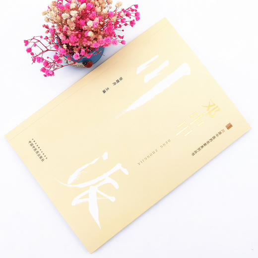 正版 现货【出版社直销】邓中甲 川派中医药名家系列丛书 张晓丹 主编 中国中医药出版社 中医临床 经典案例 书籍 商品图1