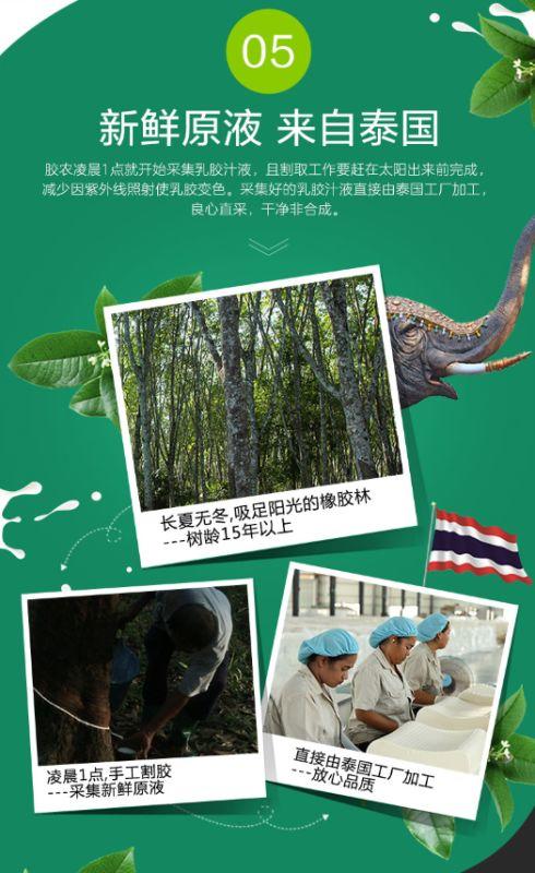【6F】 富安娜清享泰国经典呵护乳胶枕 商品图9