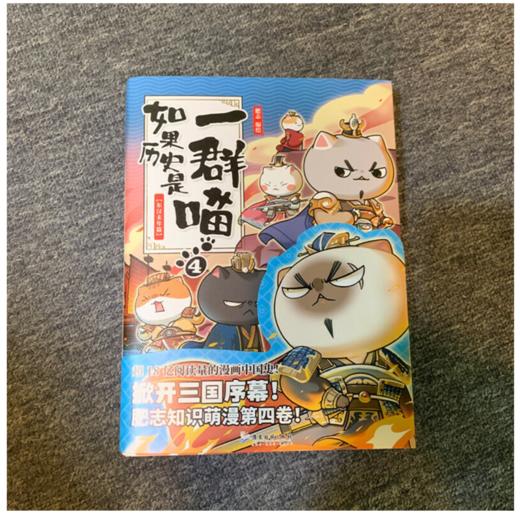 如果历史是一群喵4 东汉末年篇 商品图3