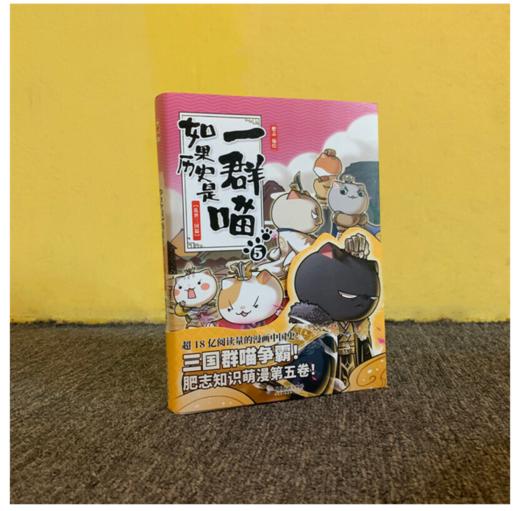 如果历史是一群喵5 乱世三国篇 商品图2