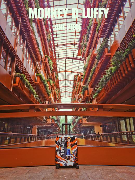 正版授权  航海王四色印花拉杆箱海贼王路飞 索隆航海王A-9827L 商品图6