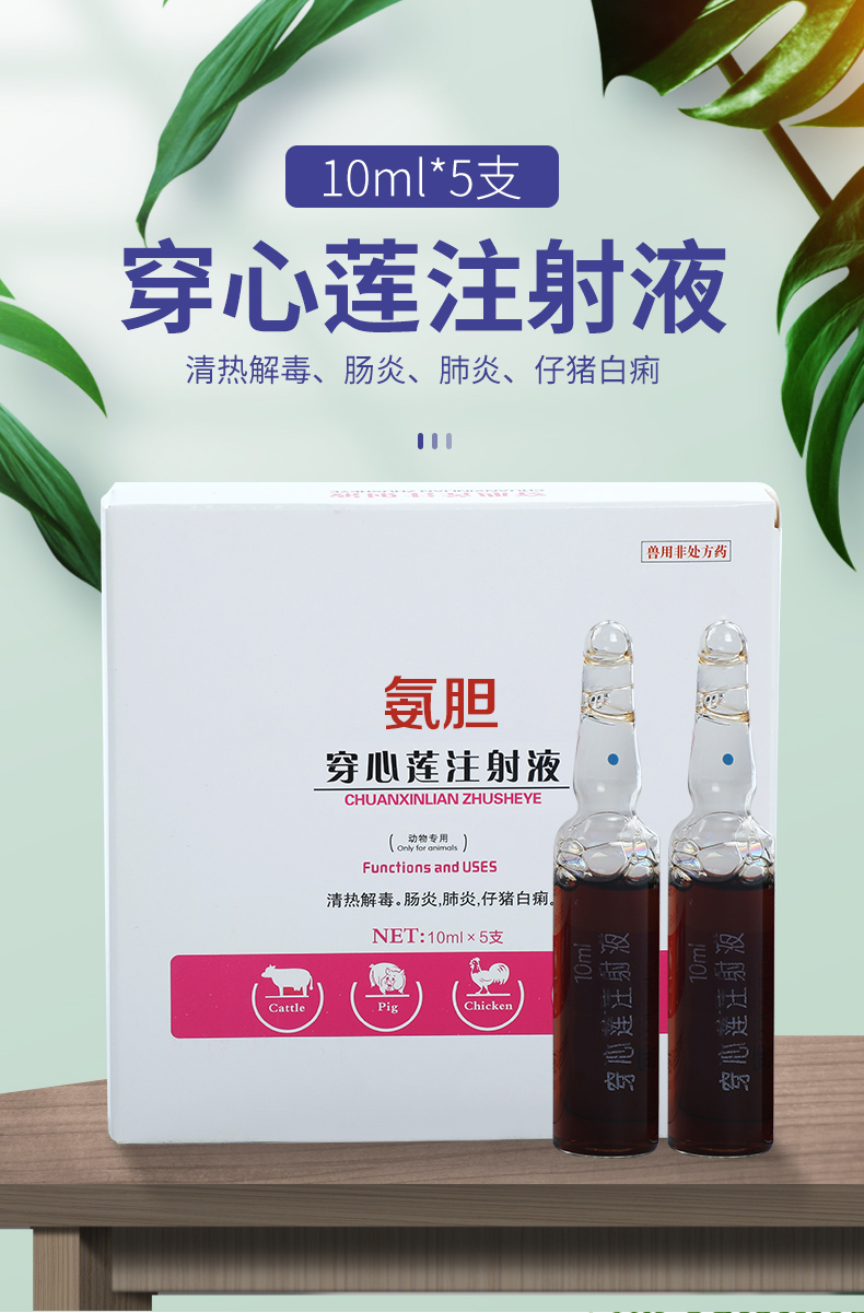 穿心莲注射液10ml*5支 清热解毒 肠炎肺炎 仔猪白痢