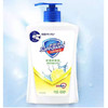 【14.9元/瓶】舒肤佳柠檬清新型健康抑菌洗手液450ml（1010029） 商品缩略图0