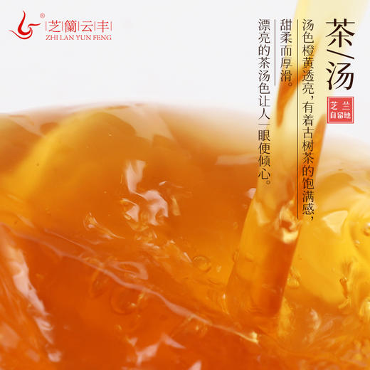 2021年自留地 云南红茶 100g 商品图2