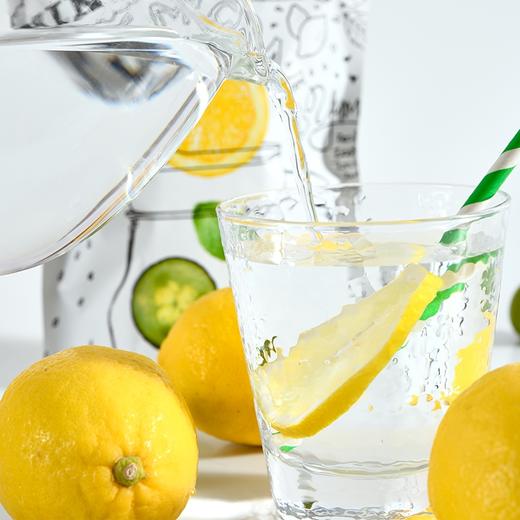 喜善花房冻干柠檬片 商品图3