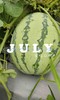 夏季西瓜正成熟  有机西瓜！礼品小瓜  吃瓜群众看过来～ 商品缩略图1