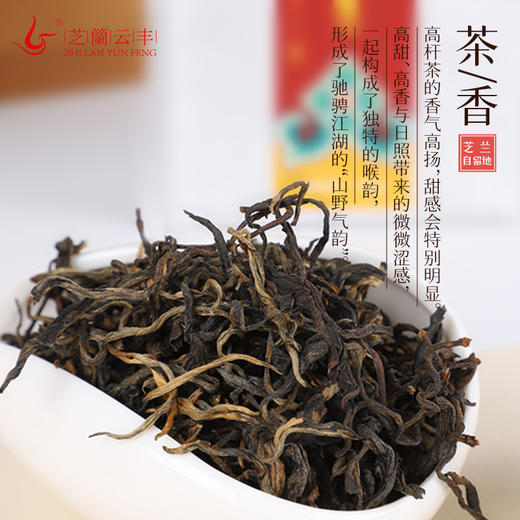 2021年自留地 云南红茶 100g 商品图1
