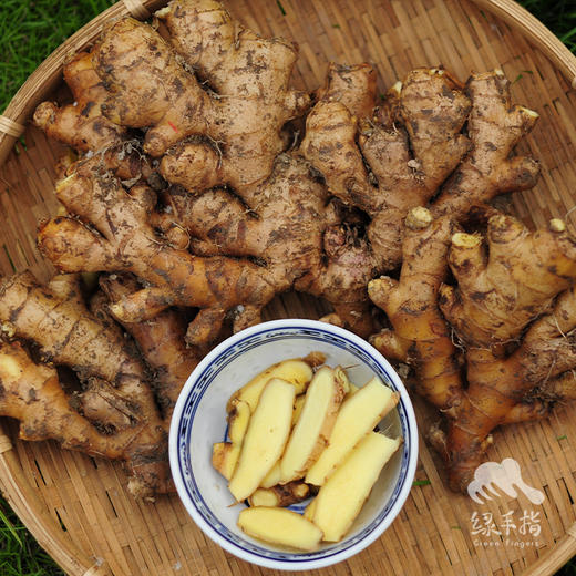 生态小黄姜 | 合作生产* Organic ginger  | Coproduction 商品图4