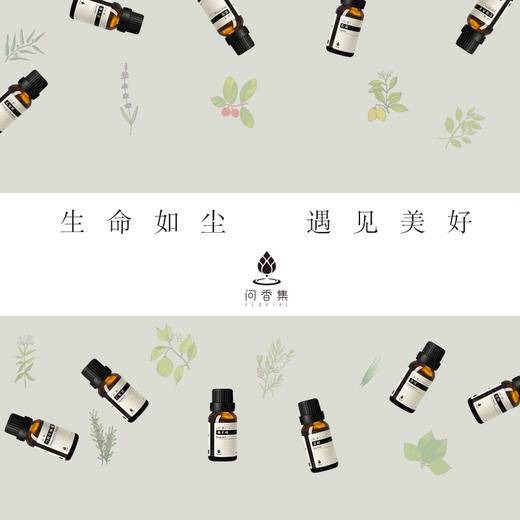 问香集  精油套装6瓶   迷迭香（马鞭草）/ 柠檬香茅/ 佛手柑/薰衣草/芳樟/ 茶树 商品图7