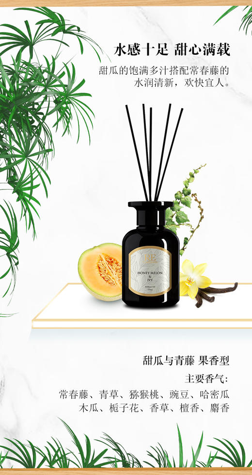 【社群团购】RE调香室沙龙香水/香薰挥发液 商品图2