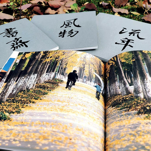 交大映画 商品图3