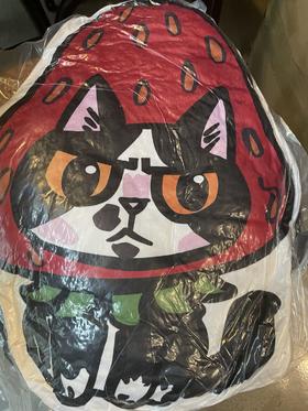 泡面猫丨草莓抱枕