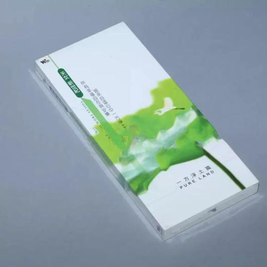 【仅剩7套】天女新世纪一方净土篇 4CD | 风潮音乐正版CD，假一罚十 商品图0
