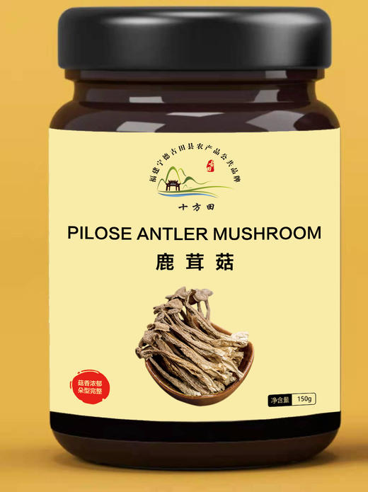 十方田鹿茸菇150g（罐装） 商品图0