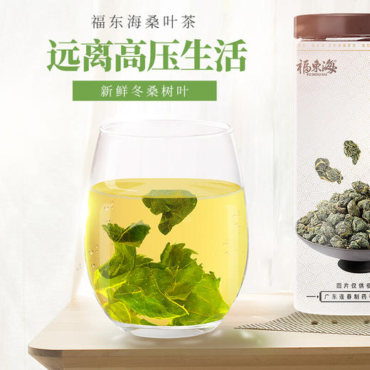 福东海 霜桑葚叶新鲜霜后桑叶茶冻干桑叶茶300克可搭金银花桑叶茶丁香茶玫瑰花茶 商品图4