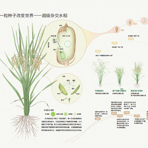 【赠AR地理探索软件+3张地图】《藏在地图里的国家地理·中国》，炫酷高清卫星遥感影像图，带你学透地理、玩转中国 商品图5