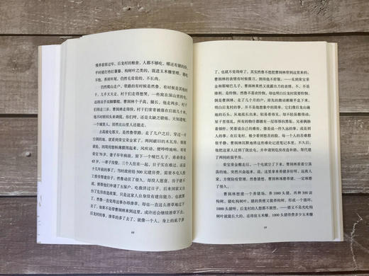 【“云端书展”专区】后龙村扶贫记 罗南/著   脱贫攻坚 振兴乡村   商品图4