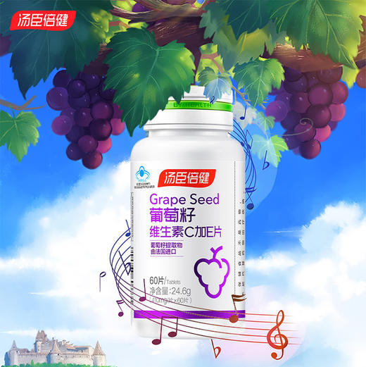 KJ 汤臣倍健葡萄籽维生素C加E片   410mg/片*60片 商品图0
