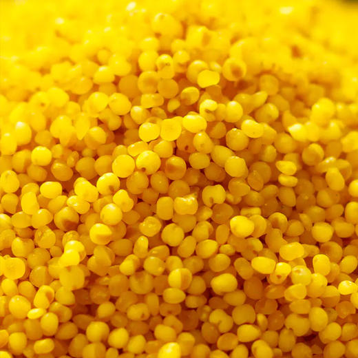 【米香中国】正宗农家新米脂油小米家庭装 黄土高原种植 商品图3