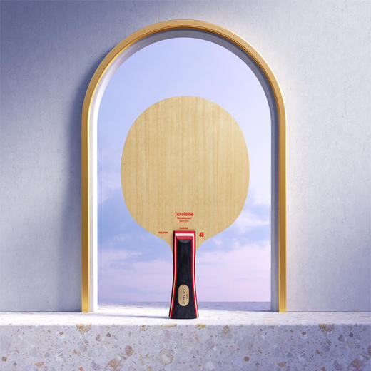 Stiga斯帝卡金标45孙颖莎东京使用专业乒乓球拍底板 5+2外置碳素结构 商品图1