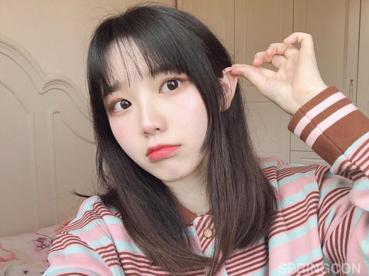 Springcon小暖咖 年抛14.0 商品图7