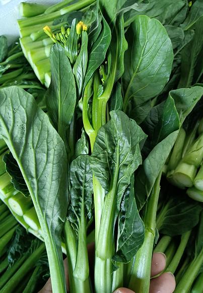 正宗供港宁夏菜心1袋400克