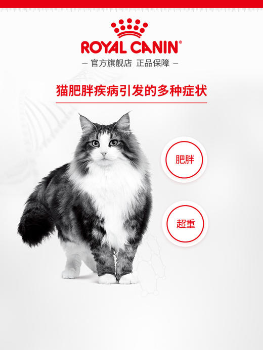 皇家 处方猫粮 SAT34 减肥 1.5KG 成猫用 便秘禁用 商品图3