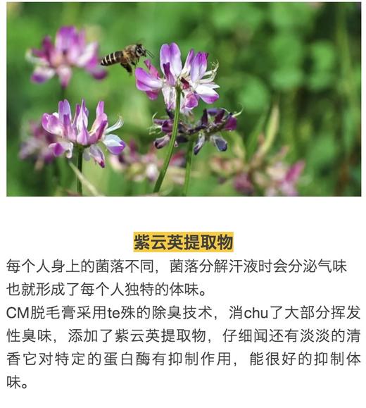 花花品质生活｜日本乐天销量TOP COS ME大赏获奖产品—CM脱M膏  毛根融化技术  美容苑脱M 海绵头专li 方便快速 植物温和配方 男女不限 一支在手 告别毛手毛脚 不做猕猴桃 商品图10