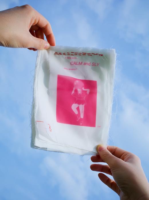 大力『Calm and Sly』▏独立出版物 商品图0