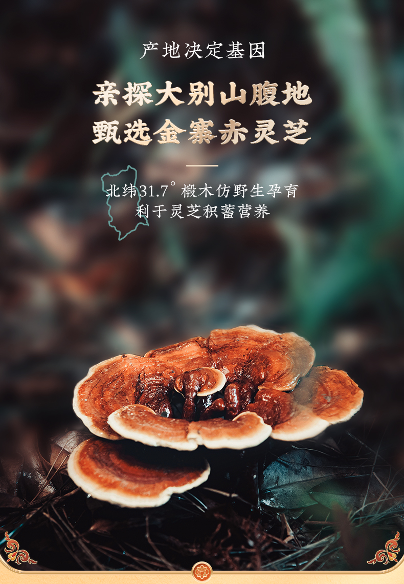 破壁灵芝孢子粉1g/袋*60袋