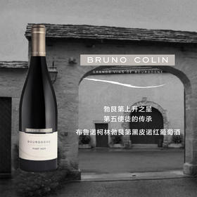 勃艮第布鲁诺柯林勃艮第黑皮诺红葡萄酒 2020 Bruno Colin Bourgogne Pinot Noir