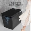 2062A智能坐便器-全黑 商品缩略图1